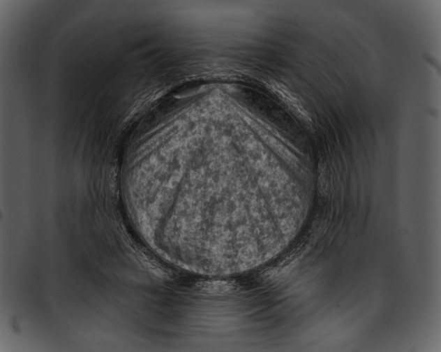 X0000096950449200802291100