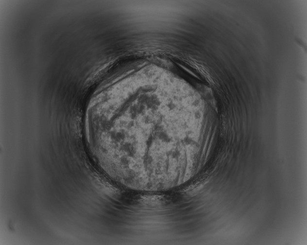 X0000096950450200802291100