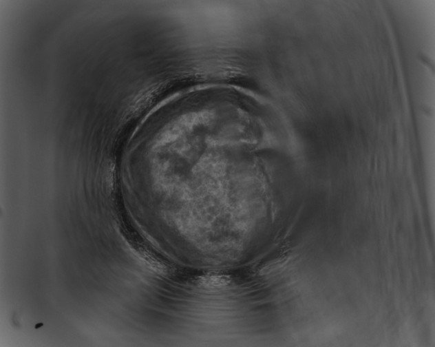 X0000096950451200802291100