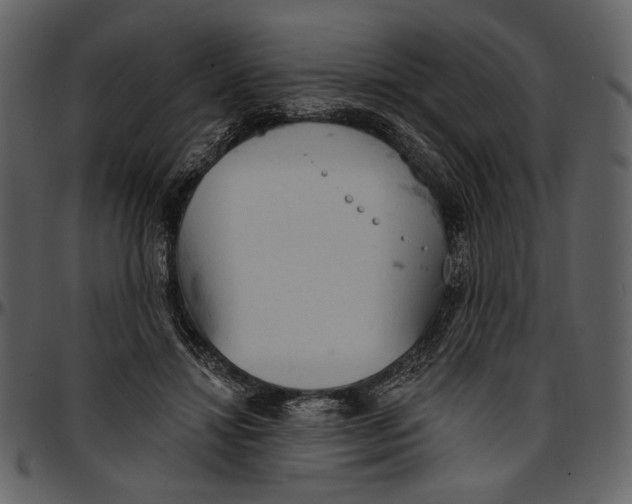 X0000096950452200802291100