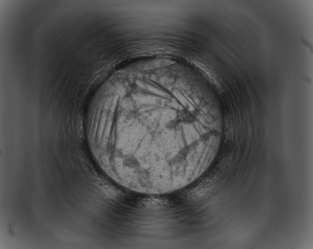 X0000096950453200802291100