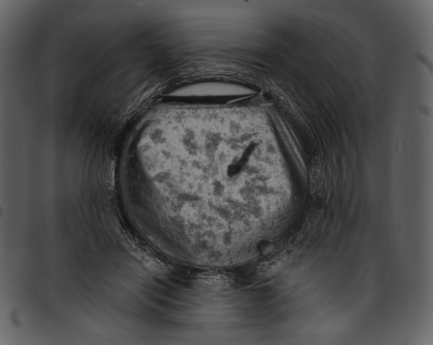 X0000096950454200802291100