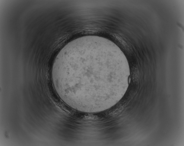 X0000096950455200802291100