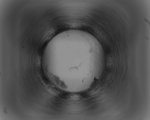 X0000096950456200802291100