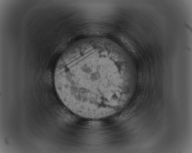 X0000096950457200802291100