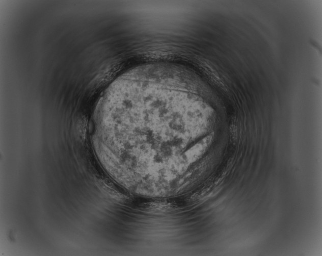 X0000096950458200802291100