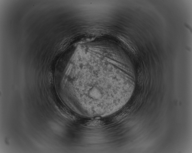 X0000096950459200802291100