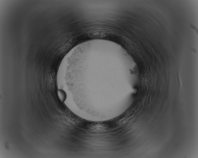 X0000096950460200802291100