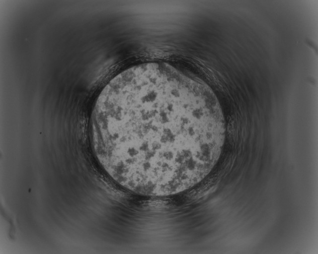 X0000096950462200802291100