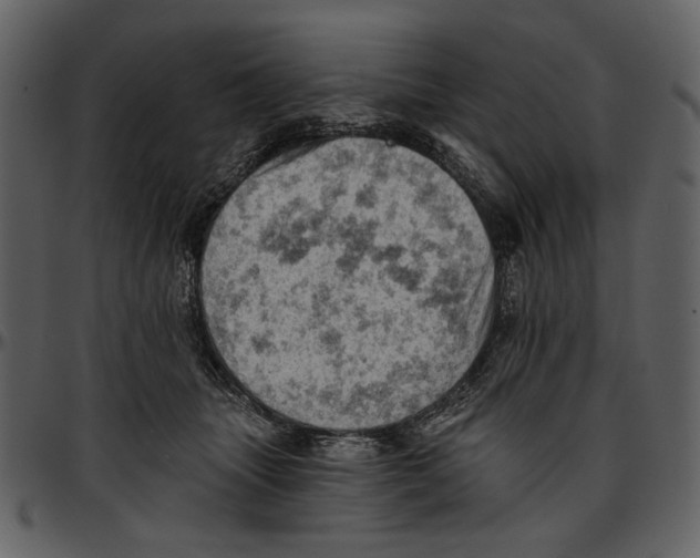 X0000096950463200802291100