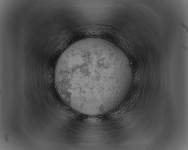 X0000096950464200802291100