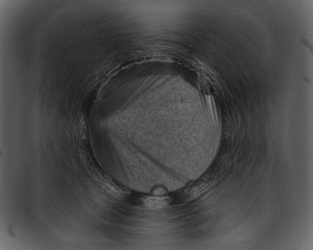 X0000096950465200802291100