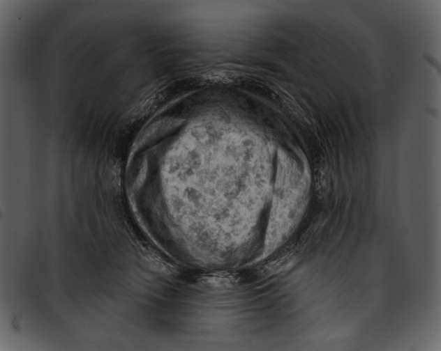 X0000096950466200802291100