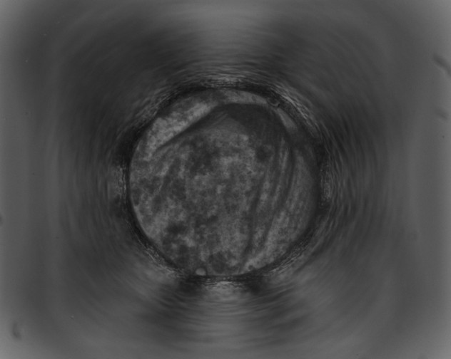 X0000096950467200802291100