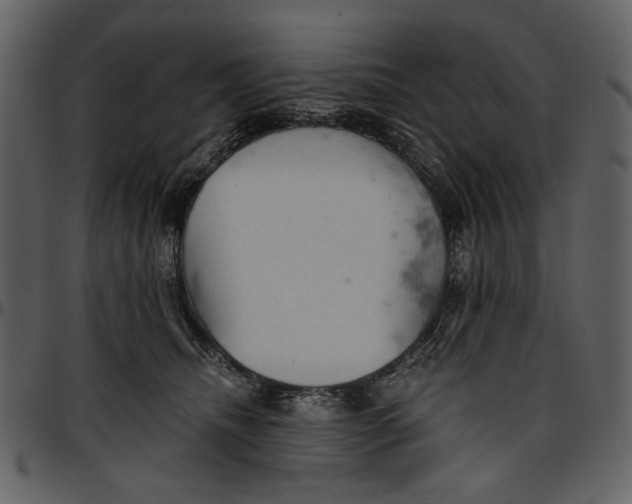 X0000096950468200802291100