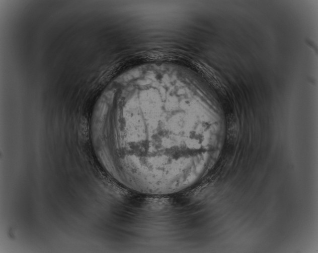 X0000096950469200802291100