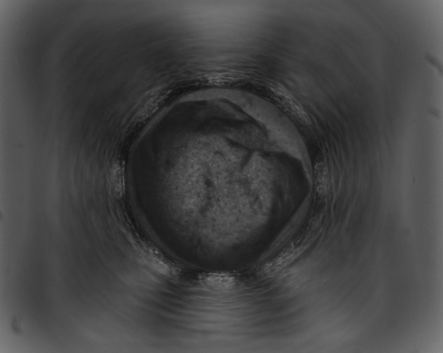 X0000096950471200802291100