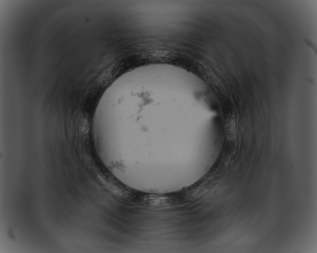 X0000096950472200802291100