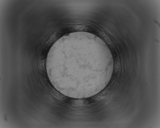 X0000096950473200802291101