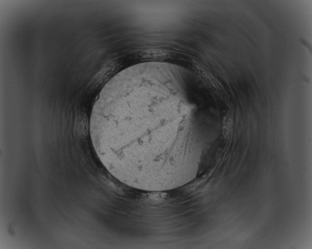 X0000096950474200802291101