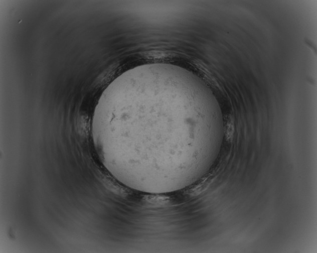 X0000096950476200802291101