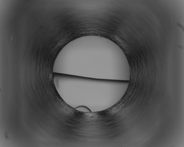 X0000096950477200802291101