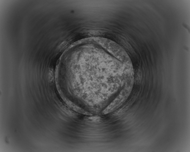 X0000096950478200802291101