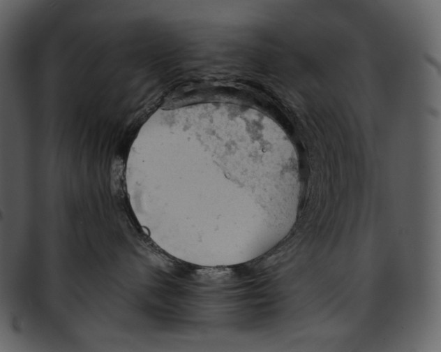 X0000096950480200802291101