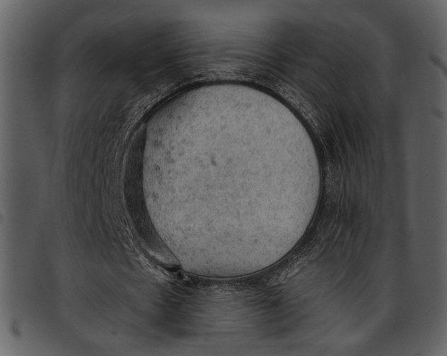 X0000096950481200802291100