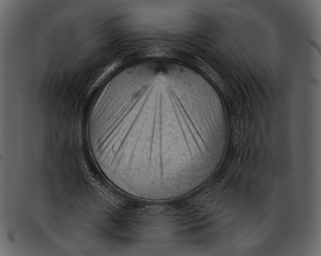 X0000096950482200802291100