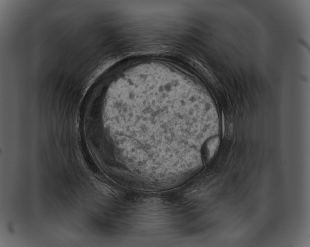 X0000096950483200802291100