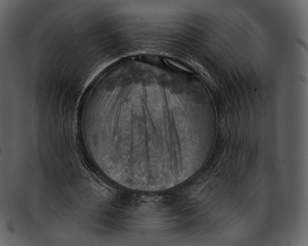 X0000096950484200802291100