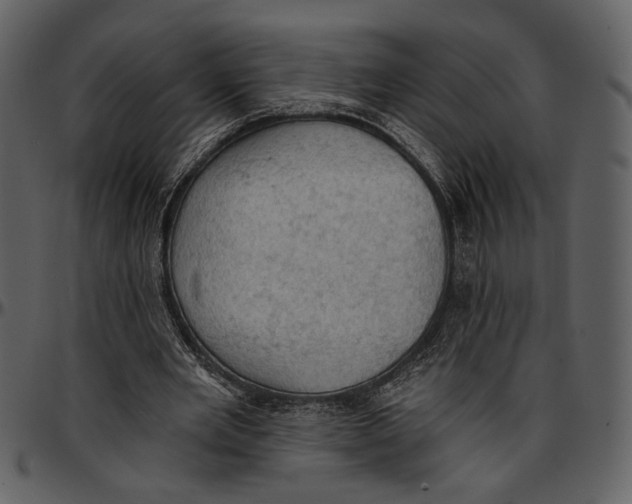 X0000096950485200802291100