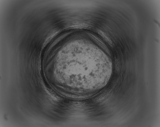 X0000096950486200802291100