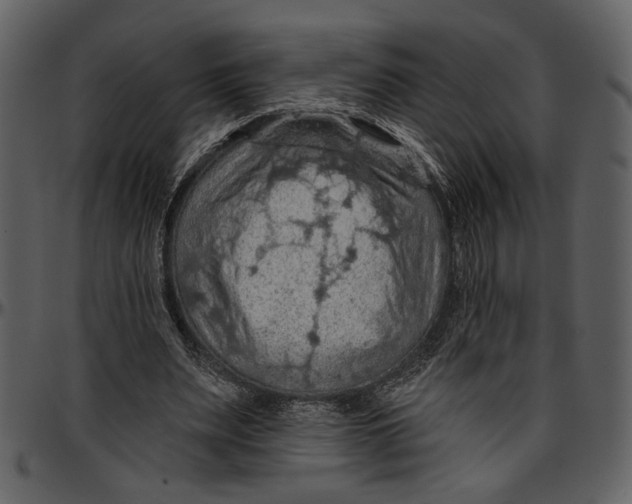 X0000096950487200802291100