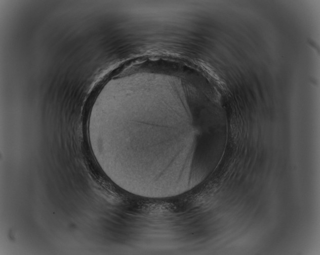 X0000096950488200802291100