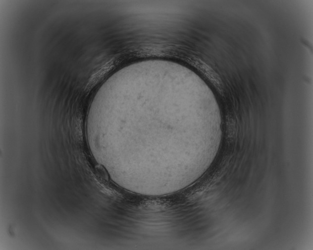 X0000096950489200802291100