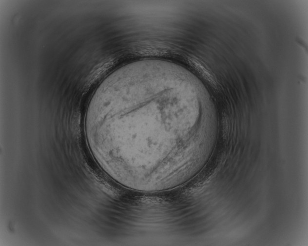 X0000096950490200802291100