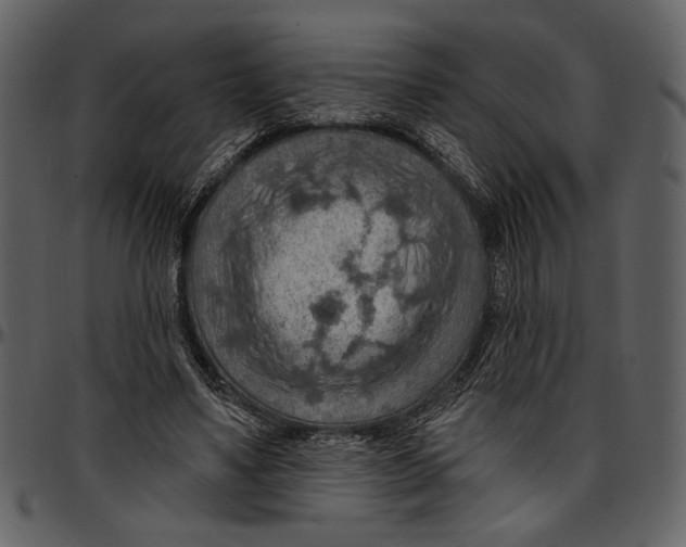 X0000096950491200802291100