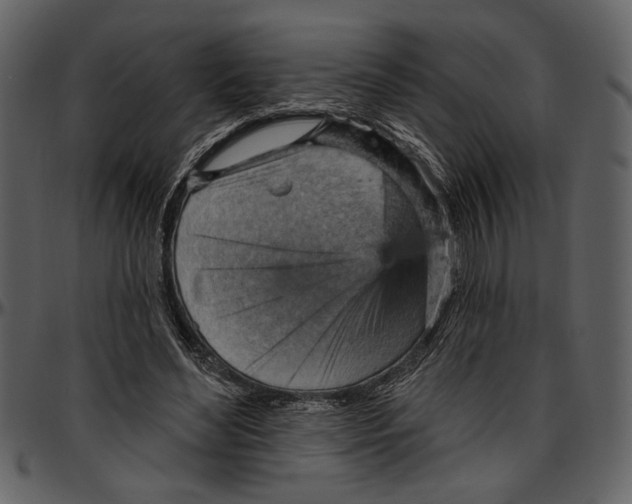 X0000096950492200802291100