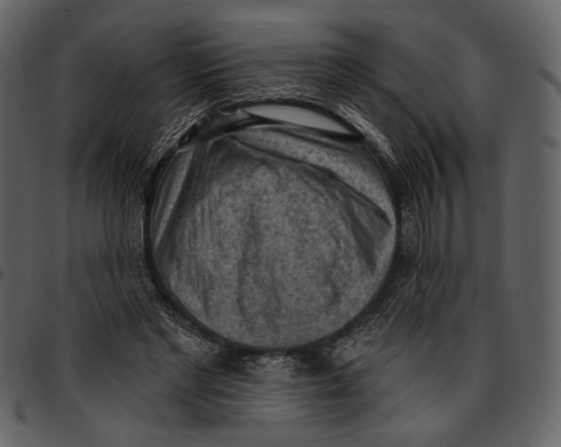 X0000096950493200802291100