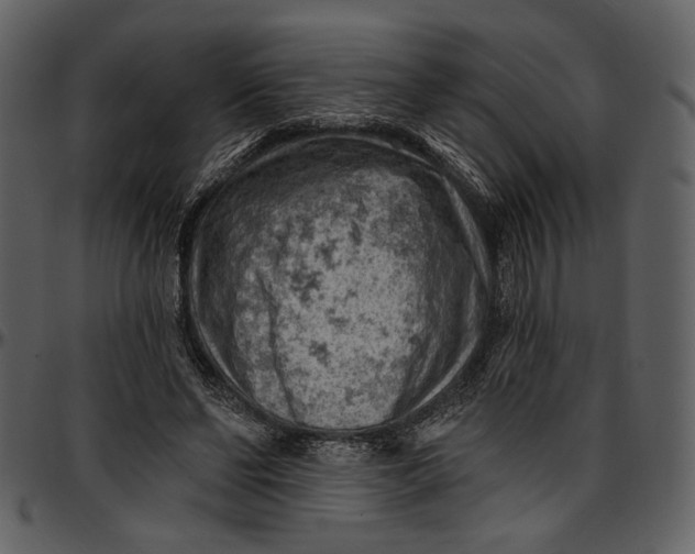 X0000096950494200802291100