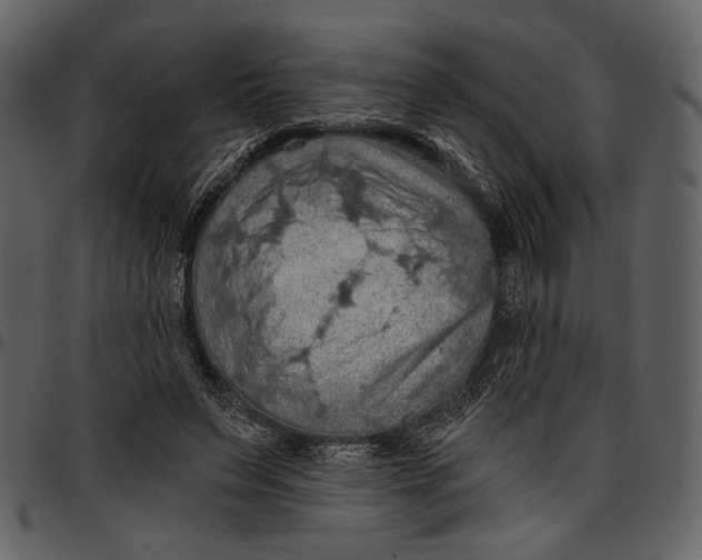 X0000096950495200802291100