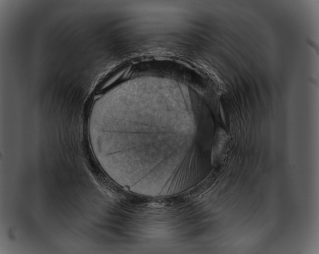 X0000096950496200802291100