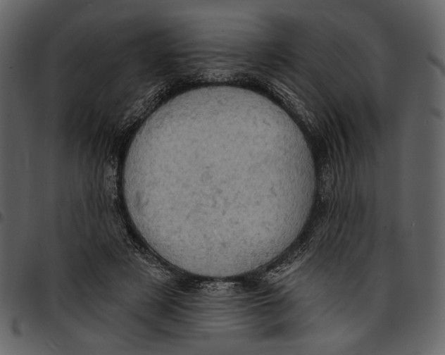 X0000096950497200802291100