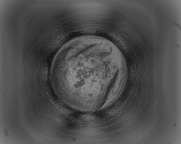 X0000096950498200802291100