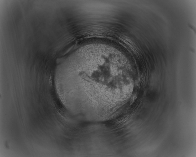 X0000096950499200802291100