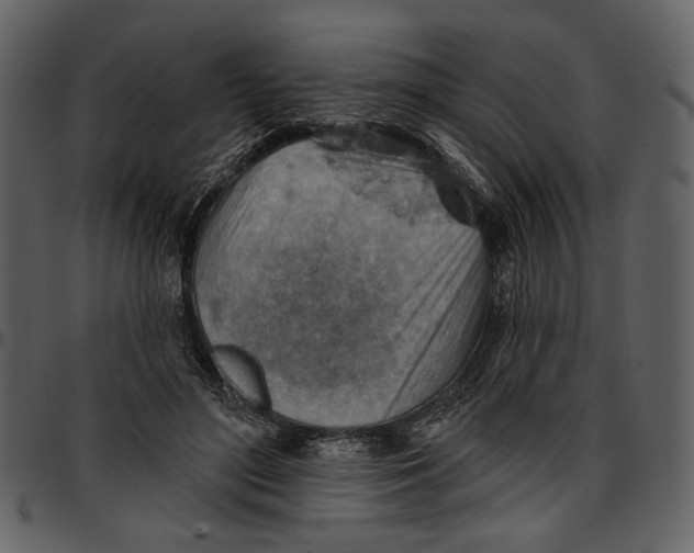 X0000096950500200802291100