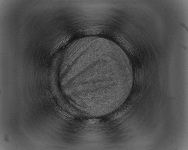 X0000096950501200802291100