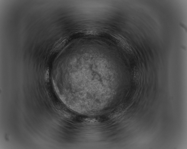 X0000096950502200802291100